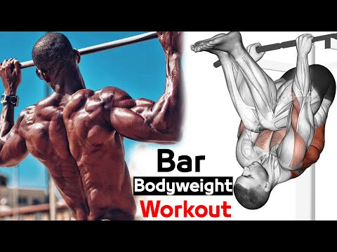 BodyWeight Bar Workout (Pull up, Biceps, Triceps, Dips, Squad, Chest,