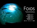 【SIGGRAPH ASIA  2021】Foids: Bio-Inspired Fish Simulation for Generating Synthetic Datasets