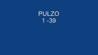 Pulzo 1 -39