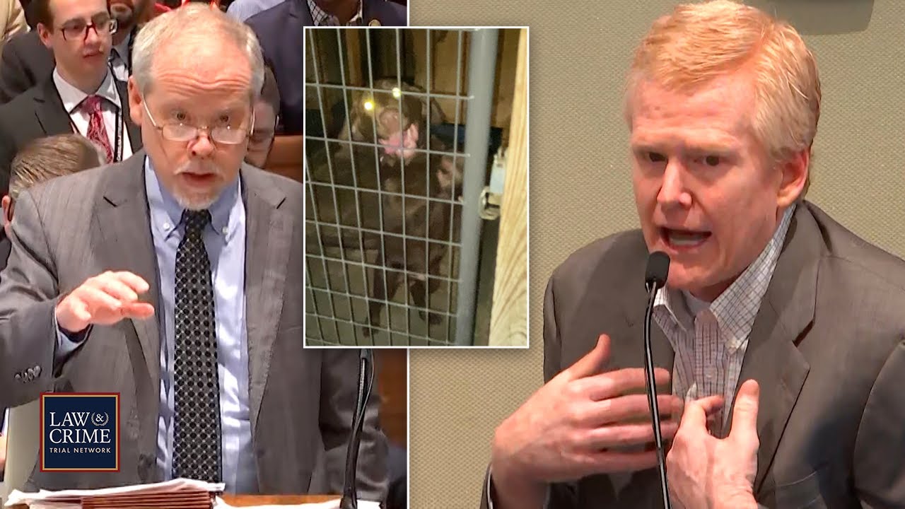 Prosecutor Presses Alex Murdaugh on Video of Him with Slain Family at Dog Kennel YouTube