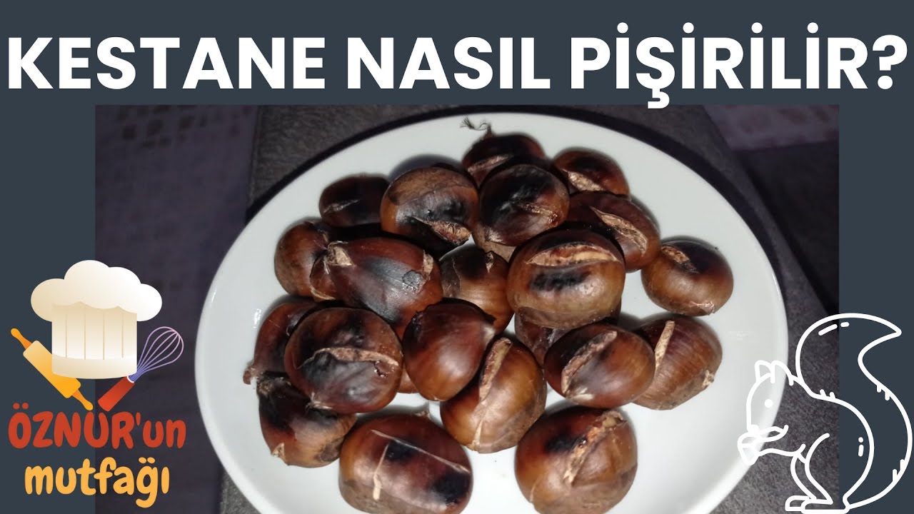 KESTANE NASIL PİŞİRİLİR? KESTANE NASIL ÇİZİLİR? KESTANE TARİFİ | Nefis Yemek Tarifleri