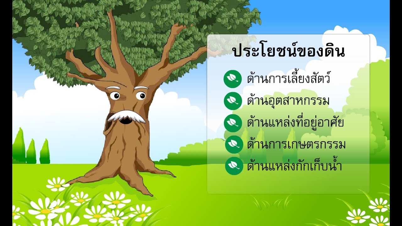 ประโยชน์ของดิน