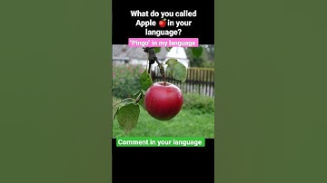 What do you called Apple 🍎 in your language? #shorts #apple #different_language #different_country