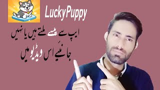 Lucky Puppy App Real or Fake Complete Review | Lucky puppy game | Online Earning in Pakistan screenshot 5