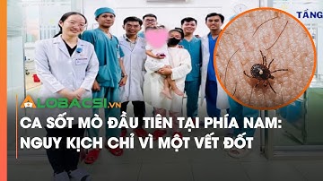 Ca sốt mò đầu tiên tại phía Nam: Nguy kịch chỉ vì một vết đốt