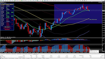 33 PIP TRIGGER Trade Setup