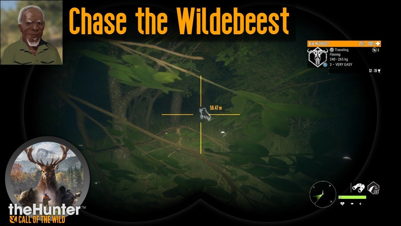 Chase the Wildebeest theHunter Call of the Wild
