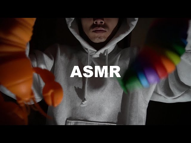 【ASMR】海外で人気のカラコロスラッグ使ってみた！【音フェチ】