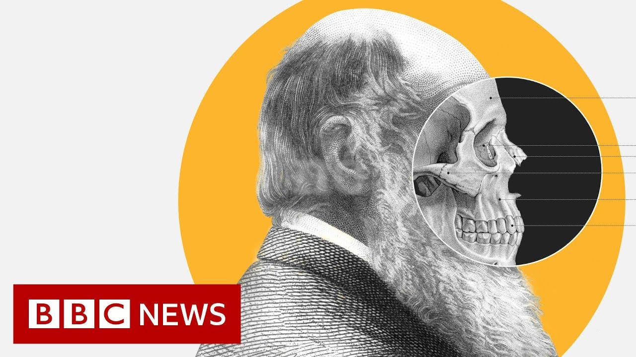 Theory Of Evolution: How Did Darwin Come Up With It? - Bbc News