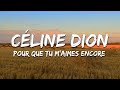 Céline Dion - Pour Que Tu M'aimes Encore (Lyrics)