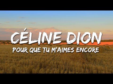 Céline Dion - Pour Que Tu M'aimes Encore (Lyrics)