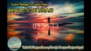 AKAU KOLONI BIRAHI ‼️SUARA LEGENDARIS BIKIN BURUNG REMAJA RESPON CEPAT DAN MANTAP‼️