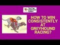 Best Dog Betting Game  Greyhound Racing game 3D virtual ...