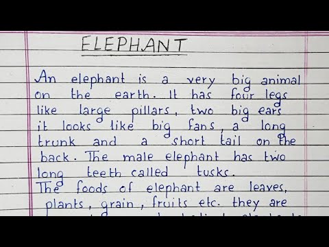if i were an elephant short essay