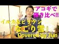 【287動画目🎉】『なごり雪(イルカ&amp;ビリケン)』アコギで弾き比べ🎸🌱