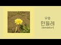 우효 민들레 Dandelion 1시간