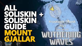 All Mount Gjallar Soliskin   Soliskin Guide Wuthering Waves