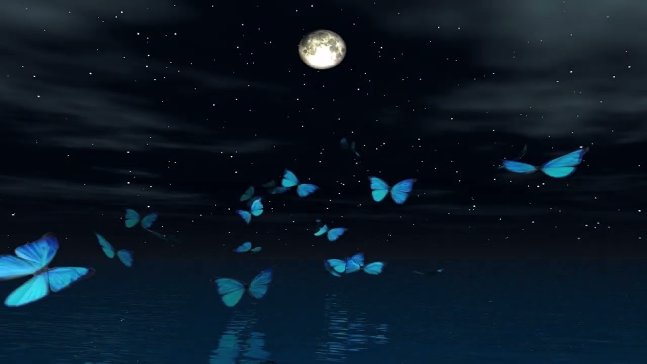 【TEST】真夜中に輝く青い蝶/The Blue Butterfly sparkling at midnight ver2