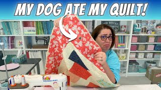 The Unthinkable: My Dog's Quilt Feast (& how I repaired it) by Sew Becca 6,210 views 1 month ago 14 minutes, 34 seconds