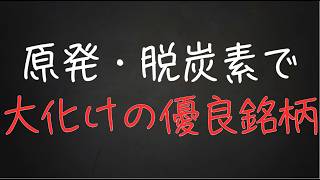 地味だけど熱い！国策の「原発・脱炭素」で化ける優良銘柄【木村化工機6378】