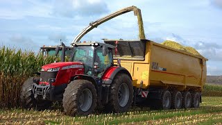 Mais 2023 : USA Equipment CF2500 | Claas Jaguar 990 | Massey Ferguson | BIG Push-off trailers | corn