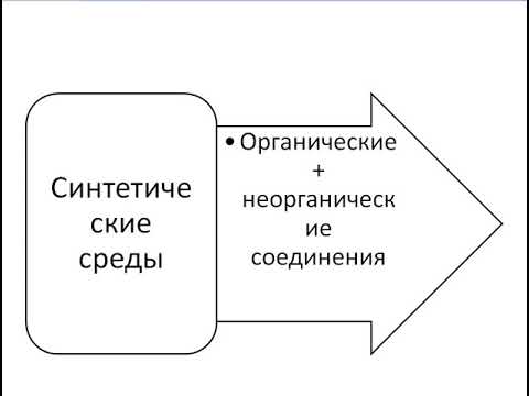 Культивирование антибиотических свойств  микроорганизмов