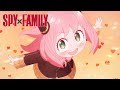 Am I Cute? | SPY x FAMILY