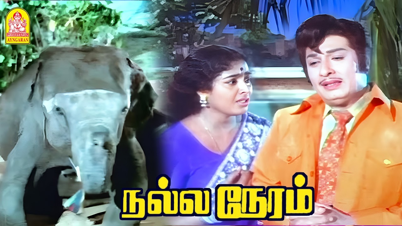 'உத்தமர்களுடைய தியாகத்த அவங்க செத்த பிறகு தான் இந்த உலகம் ஒத்துக்குது ' ! | Nalla Neram HD |  M.G .R