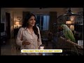 “This parrot controls the house 😂🦜”