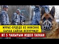 Кылмыштын бетин ачууга чоң көмөк көрсөткөн иттер. Кинолог болуш оңойбу?