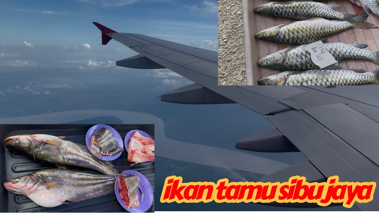 Balik kampung(kuala lumpur-sibu)terus singah di tamu sibu jaya..bermacam jualan eksotik