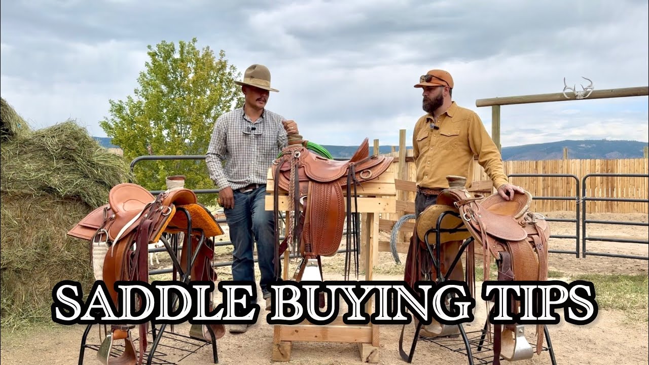 Советы по выбору седла | На что обратить внимание при покупке седла