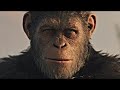 Caesars death  ending scene  war for the planet of the apes 2017lowi