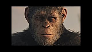 Caesar's Death - Ending Scene | War for the Planet of the Apes (2017)#LOWI screenshot 4