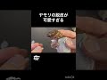 ヤモリの脱皮が可愛すぎ