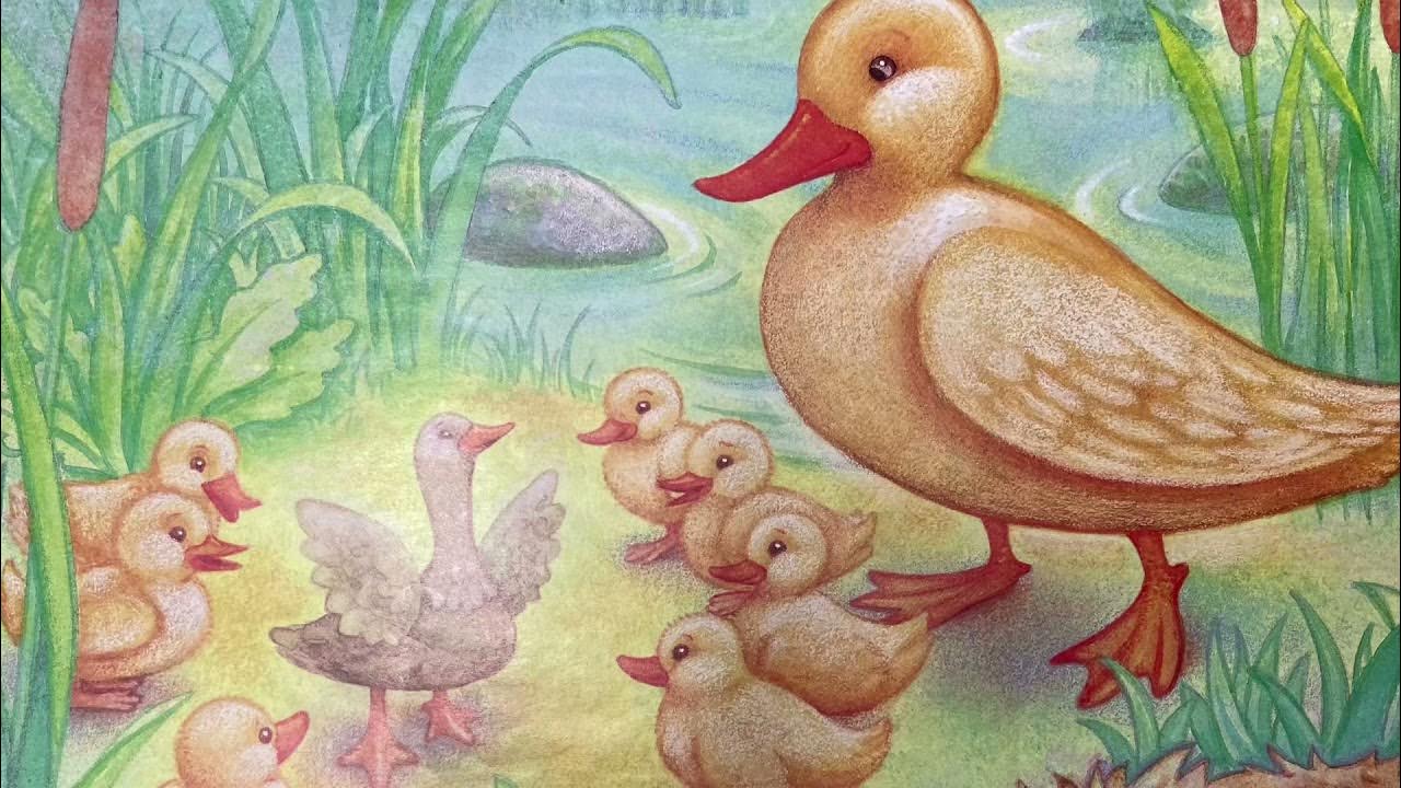 The Ugly Duckling read aloud w/ Ms Shelly YouTube