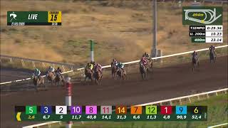 Vidéo de la course PMU PRIX CRISANTEMO