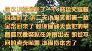1030905招財貓的由來