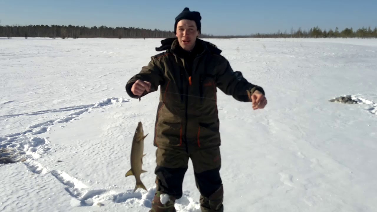 Первая и последняя щука на р. Сумыч Пермский край