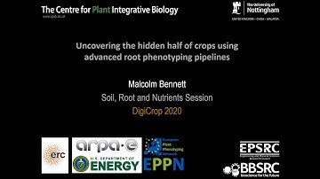 Malcolm Bennett - Uncovering the hidden half of crops using advanced root phenotyping pipelines