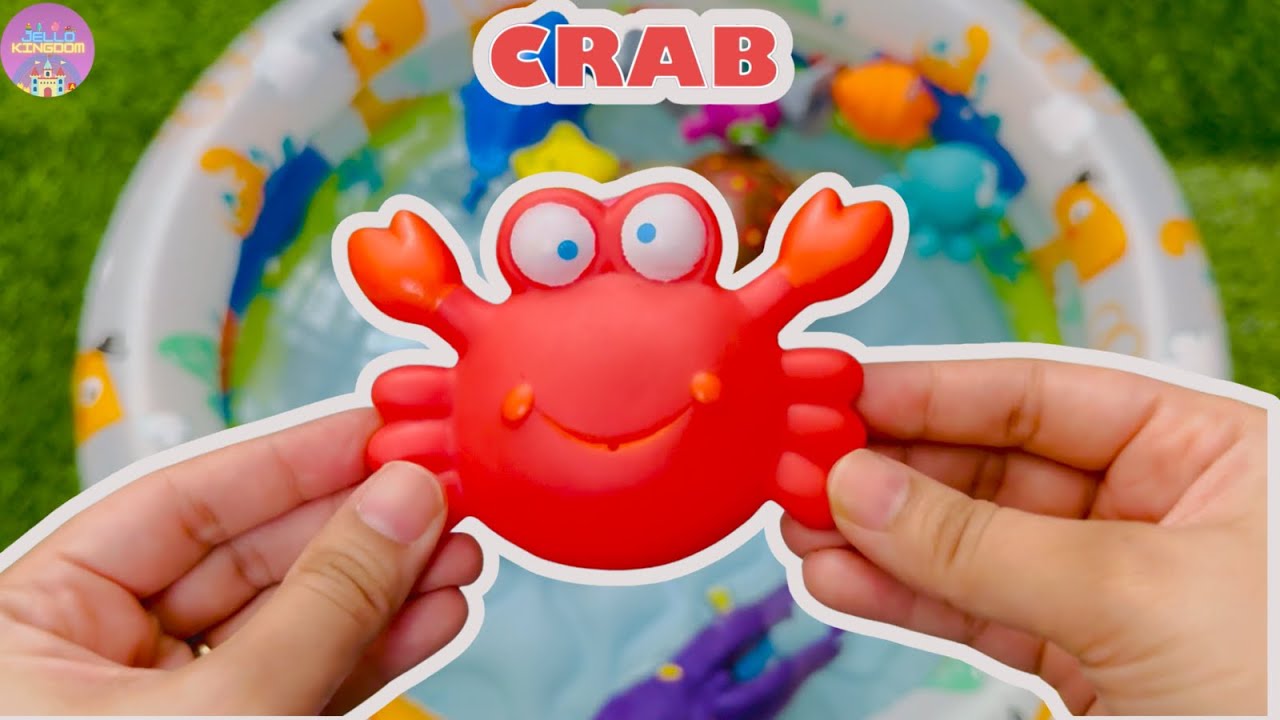 Learn Sea Animal Names and facts | Sea Animals for Kids | Sea Creature | Sea Animal Toys, Shark toys