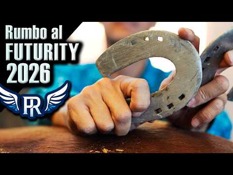 Pichon Rios - Part 9 - Preparation for the 2026 Futurity - 9th Specimen HDG DONA