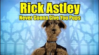 Rick Astley  Never Gonna give you Pups.