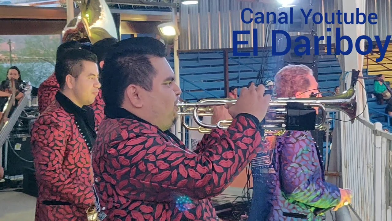 Banda los pajaritos de Ajacupa..vivir al cien. Banda los pajaritos de Ajacupa..vivir al cien.