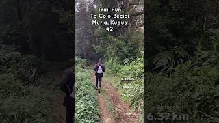 Lari lintas alam pagi hari Rabu ke Colo Becici #2