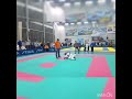 Гатчина
