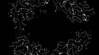 Celebrity Compute Shader - Agents System Net Worth