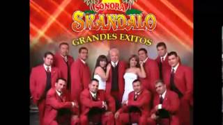 Video thumbnail of "Sonora Skandalo - Sólo Quedate En Silencio"