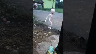 Download Lagu dame to kosida 🙀💥🤣 #ias #dance #dj #funny #animaldance #alien MP3
