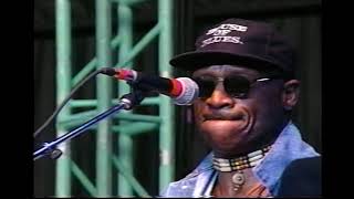 Taj Mahal - Blue Light Boogie - 6/13/1995 - Shoreline Amphitheatre